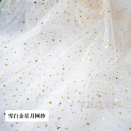海之云紗布布料 網(wǎng)紗星星紗蕾絲網(wǎng)紗布料 拍照道具頭紗亮片布網(wǎng)紅美甲飾 雪白色金星月網(wǎng)紗 （1米價）