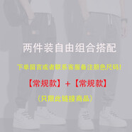 FEIYU LEE【兩件裝】夏季薄款休閑工裝褲男時(shí)尚哈倫褲修身寬松九分束腿褲 【兩件裝自由組合】常規(guī)+常規(guī) 34 【150-160斤】