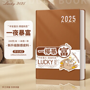 慢作 2025年日程本365天日歷記事本每日計(jì)劃本時(shí)間管理效率手冊(cè)加厚年歷本日記本筆記本子文具可定制 膚感-咖啡棕/200頁(yè) A5