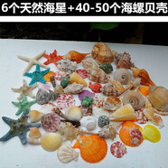 藍(lán)海精靈天然大海螺貝殼海星打孔 水族小魚缸造景裝飾底砂過濾造景裝飾擺 500g天然海螺貝殼+6只海星