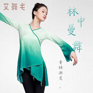 艾舞戈古典舞練功服女飄逸網(wǎng)紗喇叭袖芭蕾舞上衣成人民族身韻舞蹈服紗衣 青綠漸變 XL
