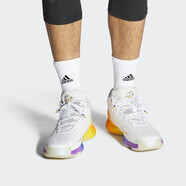 阿迪達(dá)斯（adidas）春新男鞋 D Rose羅斯9代10代籃球鞋高幫款實戰(zhàn)高幫戰(zhàn)靴 FX4795 41