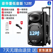 先科（SAST）廣場舞音響專業(yè)戶外k歌音箱帶話筒家用拉桿藍(lán)牙手拉麥克風(fēng) 12吋不帶話筒