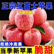爆甜】正宗陜西紅富士蘋(píng)果丑蘋(píng)果脆甜冰糖心蘋(píng)果當季新鮮水果包郵 優(yōu)選中果【60-70mm】?jì)糁?.5斤