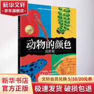 動物的顏色真鮮艷 自然之美和動物智慧 色彩搭配美學(xué) 兒童動物科普中小學(xué)生課外閱讀推薦