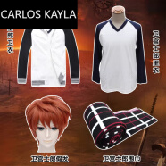 CARLOS KAYLA卫宫士郎cos服 fatestaynight衣服装T恤围巾卫衣动漫 假发 卫宫士郎外套