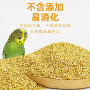 再再新黃谷子中小型鸚鵡飼料鳥(niǎo)糧食帶殼小米虎皮玄鳳牡丹食物糧食鳥(niǎo)糧 250g優(yōu)質(zhì)黃谷子