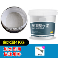 梓嘉福散裝水泥地面修補水泥家用快干堵漏王速干水泥砂漿 水泥膠白水泥