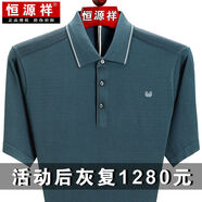 恒源祥短袖T恤男桑蠶絲中老年爸爸裝純色翻領(lǐng)半袖大碼冰蠶絲POLO打底衫 3037中灰 190/104A建議190-210斤