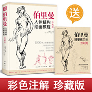 珍藏版《伯里曼》人體結(jié)構(gòu)教學(xué)人物速寫入門基礎(chǔ)繪畫臨摹書籍透視技法自學(xué)教程頭像美術(shù)藝術(shù)手繪教材全套正版  