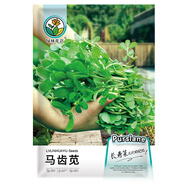 綠林花語馬齒莧種子野生食用四季蔬菜盆栽野菜馬齒菜螞蚱菜長壽馬齒莧種孑
