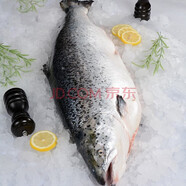 隆港匯三文魚輪切整條中段 新鮮日式料理冰鮮魚 整條刺身背肉生魚片 新疆整塊三文魚 2.5kg -3kg