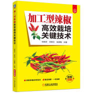 加工型辣椒高效栽培关键技术