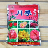 8年玫瑰老樁花苗玫瑰盆栽花卉觀賞花植物陽臺室內(nèi)室外盆栽地栽花老樁薔薇花多次開花 玫瑰月季專用肥 不含盆