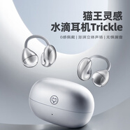 貓王收音機(jī)貓王靈感水滴耳機(jī)MW_W3耳夾開放式氣傳導(dǎo)無線夾耳式不入耳藍(lán)牙耳機(jī)運(yùn)動跑步通話耳夾式耳機(jī) 鍛光銀