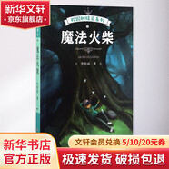 校園樹(shù)精靈(1)魔法火柴 學(xué)生課外閱讀 推薦閱讀 兒童文學(xué)