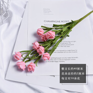 曜灃 ins北歐仿真玫瑰花拍照道具網(wǎng)紅復(fù)古美食美甲攝影拍攝背景擺件飾品假花朵裝飾擺拍 粉色10頭小玫瑰 拍攝道具