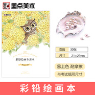 墨點美術(shù)彩鉛繪畫本漫畫繪畫本涂色空白素描本圖畫本手繪本寫生圖畫本30張木漿紙彩鉛本涂鴉繪畫本畫原稿畫紙