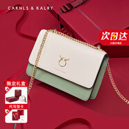 CAKNLS&KALRY輕奢包包女款2025年單肩包斜挎女包520情人節(jié)生日禮物送女友老婆 綠色 紀(jì)念日生日禮物送女友老婆禮盒裝