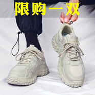 fengyunge男鞋夏季新款鞋子男網(wǎng)面黑色勞保工作防滑耐磨運動休閑跑步老爹潮 米色 44 (270mm)