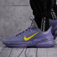 耐克（NIKE）男子籃球鞋LEBRON詹姆斯實(shí)戰(zhàn)減震氣墊運(yùn)動鞋 CQ9329-500/21使節(jié)13湖人配色 46