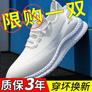 休閑鞋男網(wǎng)面鞋軟底運(yùn)動鞋透氣百搭跑步鞋時(shí)尚輕便工作鞋小白鞋男 8610【白色】 39