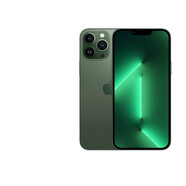 Apple iPhone 13 Pro Max 支持移動(dòng)聯(lián)通電信蘋果5G 二手手機(jī) 國(guó)行國(guó)行補(bǔ)貼 蒼嶺綠 128G