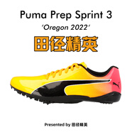 彪馬（PUMA） 田徑精英Puma Prep Sprint 2男女專業(yè)比賽訓練短跑釘鞋 小博爾特 小博爾特/377962-01/寬腳神器 42