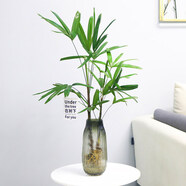 倘沭灣倘沭灣 水培金山棕竹室內(nèi)桌面盆栽白掌春羽綠植花卉植物天堂鳥文 50-55cm+80-90cm兩株配煙雨高瓶 含盆