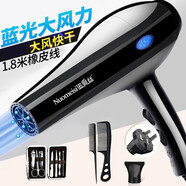 諾美絲（nuomeisi） 吹風(fēng)機(jī)家用理發(fā)店大功率電吹風(fēng)大風(fēng)力宿舍學(xué)生小吹風(fēng)筒 藍(lán)光專業(yè)版3000【美甲包套餐】