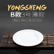 彩虹鳥(niǎo)（Rumours）白色塑料圓盤(pán)仿瓷餐具密胺平盤(pán)子小吃盤(pán)餐盤(pán)骨碟涼菜盤(pán)西餐盤(pán) B款 3號 薄款 直徑 20cm