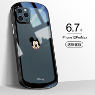 名界（MINGJIE） 适用于苹果14promax手机壳iphone保护壳新款加全包镜头膜潮牌 苹果12Pro max透明米奇