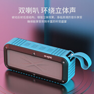 維爾晶（W-King） S20戶外騎行音響無(wú)線藍(lán)牙音箱防水超重低音雙喇叭便攜插卡小音箱收音機(jī) 藍(lán)色+16G內(nèi)存卡