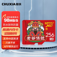 儲(chǔ)俠（CHUXIA）TF行車記錄儀內(nèi)存卡專用車載音樂視頻MP3MP4兼容監(jiān)控?cái)z像頭相機(jī)卡SD卡存儲(chǔ)卡 【256GB】U3