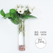 卡蔓派能掛墻上的花盆創(chuàng)意水培玻璃花瓶懸掛式透明插綠蘿壁掛小魚缸簡(jiǎn)約 水管花瓶+無(wú)痕釘