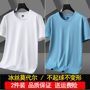 賓宇兄弟（BINYUXD）短袖t恤男冰絲莫代爾棉夏季青年薄款純色打底衫圓領(lǐng)衣服半袖體恤 7.【2件裝】白色+天藍(lán) M 建議100-110斤
