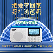 樂果（NOGO） R909便攜式插卡音箱藍牙音箱 可插U盤老人雙波段收音機 校園廣播低音炮大屏大字 藍白 R909升級藍牙版+16G空卡