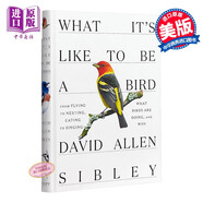 預(yù)售 What It's Like to Be a Bird英文原版 做鳥的感覺David Allen