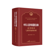 《中华人民共和国民法典》适用指南与典型案例分析
