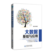 大數(shù)據(jù)基礎(chǔ)與應(yīng)用