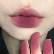 Toot Dodo夏季高級感低飽和冷棕口紅啞光霧面防水不掉色磨砂清冷美人色唇泥 03濃郁覆盆子