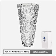BOHEMIA 捷克波希米亞水晶玻璃時尚現代歐式花器客廳落地大號花瓶35cm 捷克圓點廣口透明水晶花瓶