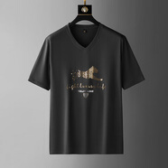 畢蒙2022夏季新款加肥加大碼短袖t恤寬松休閑體恤衫肥佬衣服V領(lǐng)潮 黑色 XXL（160-190斤）