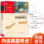 帶刺的朋友 兒童文學(xué)讀物小學(xué)生三四五六年級(jí)課外閱讀書籍青少年兒童必讀名著故事書 新老版本隨機(jī)發(fā)貨