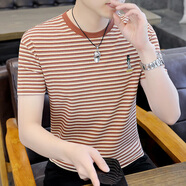 啄木鳥(niǎo) 夏季絲光棉短袖T恤男潮牌刺繡圓領(lǐng)條紋體恤衫帥氣百搭夏天上衣 5焦糖色 XL