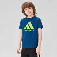 阿迪達斯 （adidas）2025新款短袖兒童T恤夏季戶外運動休閑百搭短袖 藍+綠  140