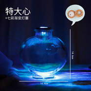 芷堯DIY幸運星玻璃瓶發(fā)光漂流瓶許愿瓶創(chuàng  )意星空瓶彩虹瓶星星瓶子 特大心形瓶加LED燈