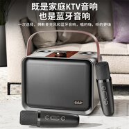 奇聯(lián)藍牙音響家庭ktv音響套裝家用戶(hù)外K歌卡拉OK一體機電視手機唱歌設備全民K歌點(diǎn)歌話(huà)筒麥克風(fēng)聲卡 黑棕色