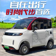達鐺電動(dòng)四輪車(chē)家用小型女士休閑全封閉油電兩用成年人汽車(chē)電瓶代步車(chē) 車(chē)衣（顏色定制）