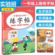 實驗班學霸提優(yōu)練字帖一年級上冊 同步練字帖一年級上冊語文人教版寫字課課練生字規(guī)范練詞語強化練 樂學熊